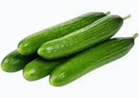 מלפפון